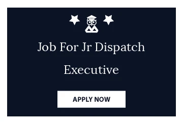 Job For Jr Dispatch Executive